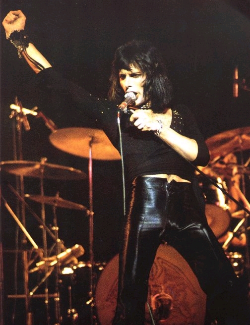 Black Cat Freddie 